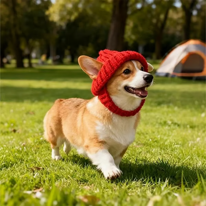 🐾Red Wool Knit Dog Hat with Ear Flaps – Warm Winter Hat