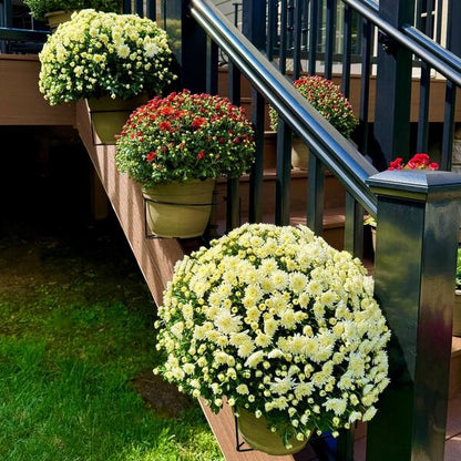 🌿Adjustable Non-slip Hanging Flowerpot Shelf